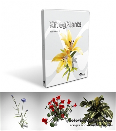 XfrogPlants – FLOWERS 1