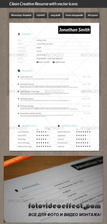 Clean Creative Resume with Vector Icons