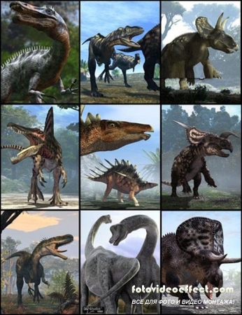 C4D - All Dinosaurs 3D Models