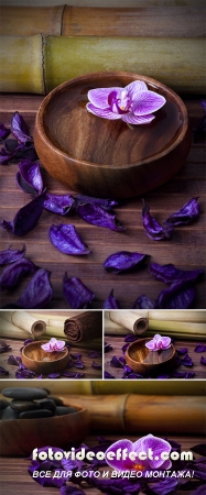 Stock Photo: Spa decoration