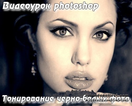 photoshop  - 