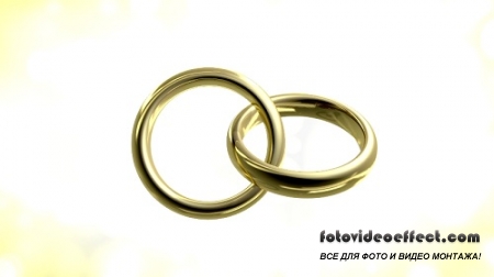    (5) HD / Footage Wedding Rings (5) HD