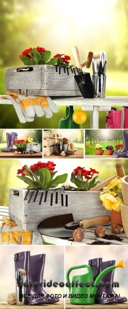 Stock Photo: Garden tools