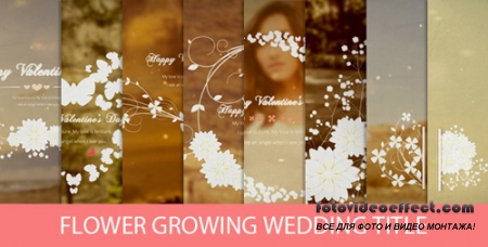 Flower Growing Wedding Title - Project for After Effects (Videohive)