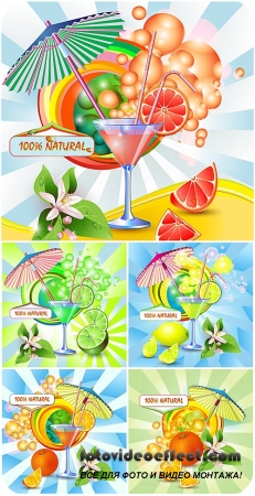 Коктейли в векторе, сок из цитруса / Cocktails in the vector of citrus juice