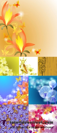 Stock: Floral backgrounds vector part 3