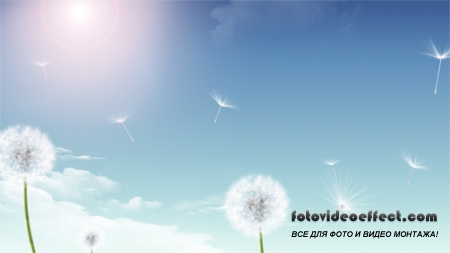 Футаж Flying Lightly HD
