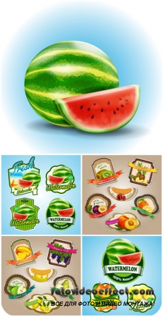 Продуктовые этикетки в векторе, арбуз, ананас, киви, абрикос / Food labels vector