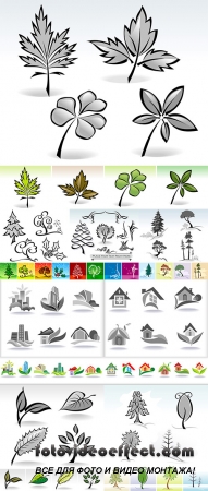 Stock: Leaf icons Calligraphic Illustration