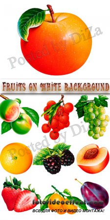 Fruits on white background