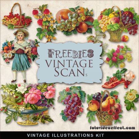 Scrap-kit - Berries Vintage Illustration