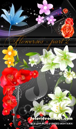 Flowerses ( part 2) -  ( 2)