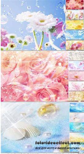 Large collection of excellent backgrounds