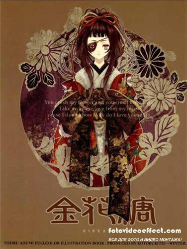 Tohru Adumi - Kinkatou ( Artbook )