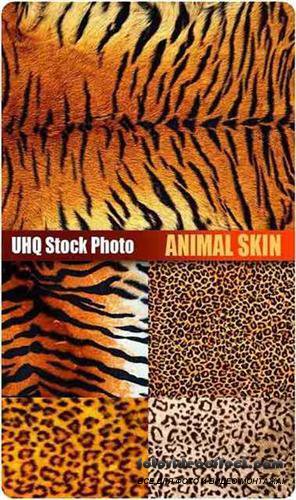 UHQ Stock Photo - Animal Skin