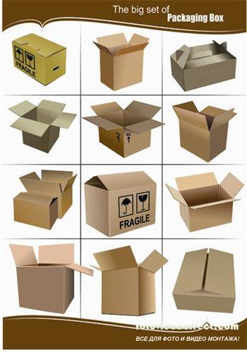 Big Set of Packaging Box