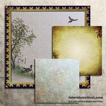 Backgrounds with pheasants (  )