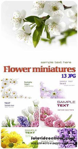 Flower miniatures background ( )