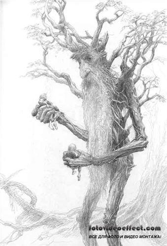 Alan Lee - The Lord of the Rings ( Sketchbook )