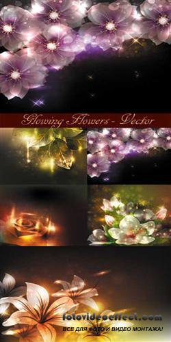 Glowing flowers - vector ( )