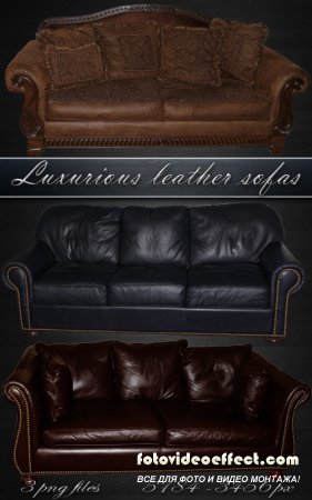 Luxurious leather sofas -     png