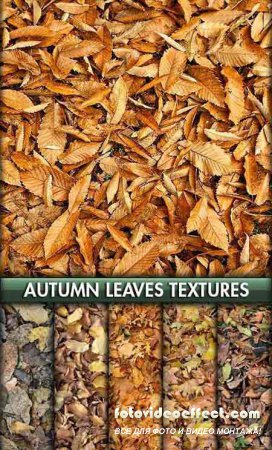     3ds max / Autumn foliage textures
