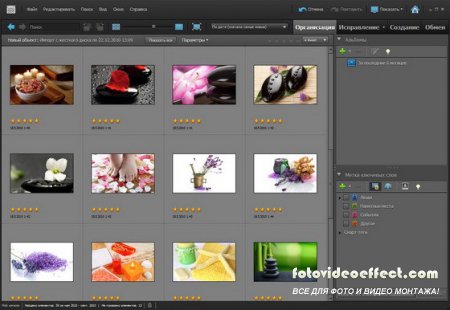 Adobe Photoshop Elements 9.0.3 (Ml/Rus)