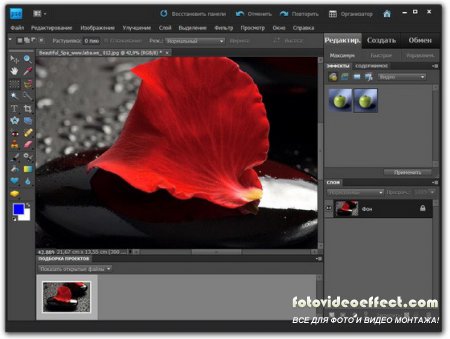 Adobe Photoshop Elements 9.0.3 (Ml/Rus)