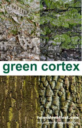    / cortex textures