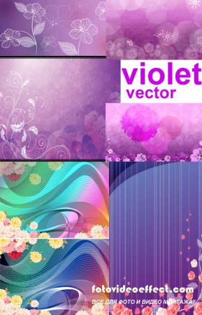     / violet vector