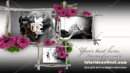 RevoStock Floral Frames 106358