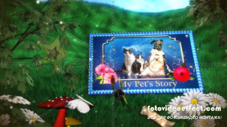 After Effects Project - My Pet's Story 15492
