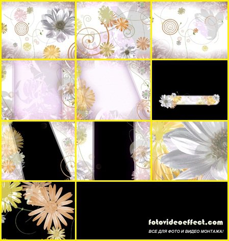 Editor`s Themekit 02 : Floral Fusion