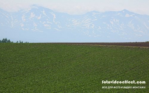 Фотоподборка "Поля, луга, степи"