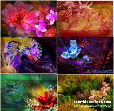     Photoshop ( 2)