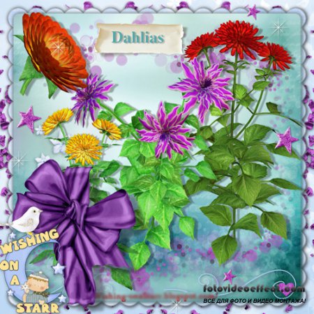 Scrap-kit - Dahhias Set