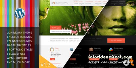 Duotive 2WO 1.2 - ThemeForest All in One Wordpress Theme