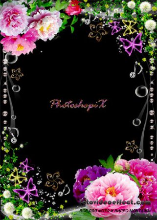    Photoshop     
