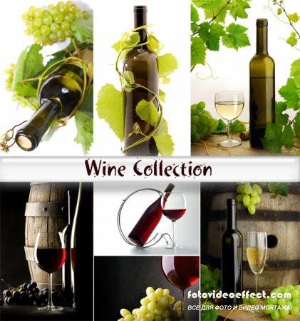 Wine collection
