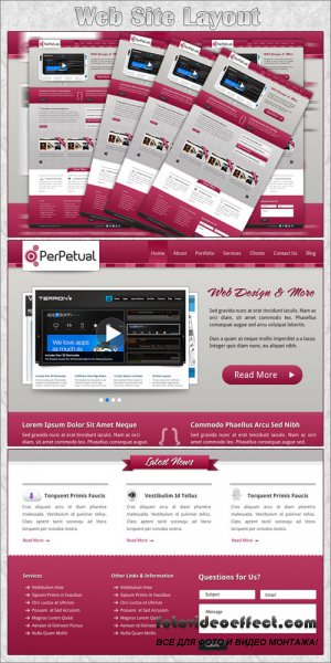 Website Layout PSD Template