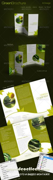 Green Trifold Brochure InDesign Template - GraphicRiver