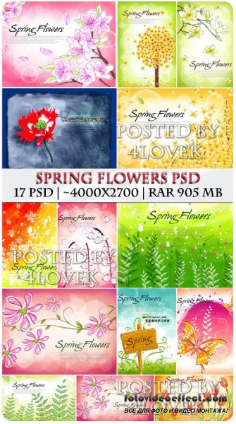 Spring Flowers PSD