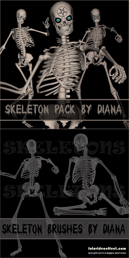 Skeleton Brushes & Skeleton PNG Cliparts by Diana