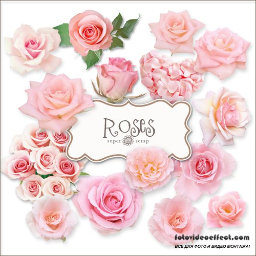 Scrap-kit - Vintage Roses Illustrations #2