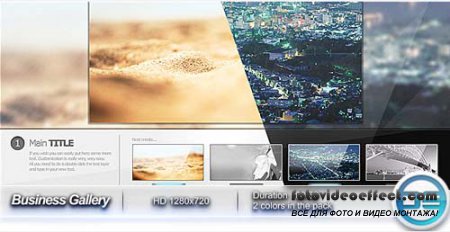 Videohive After Effects Project - Business Gallery