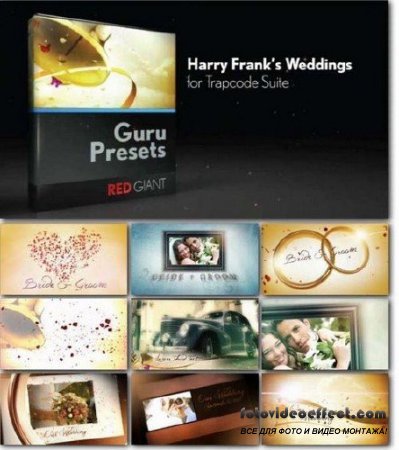 Harry Frank's Weddings for Trapcode Suite
