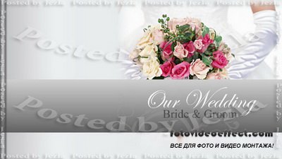 After Effects Project - RevoStock: Wedding-photo-album - 114069