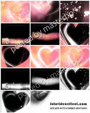 Editors Toolkit Wedding Tools Set 152