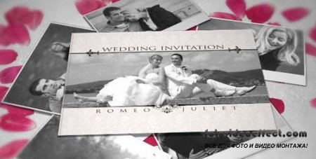 Videohive After Effects Project - Wedding Invitation