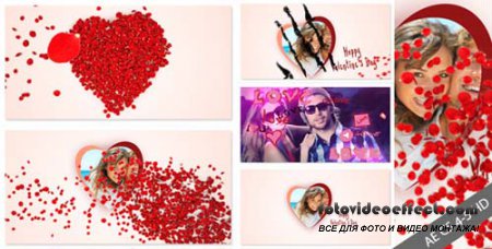 Videohive After Effects Project - Roses and Valentine's Day